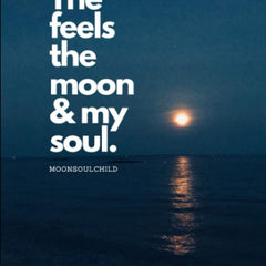 The Feels The Moon and My Soul by Sara Sheehan