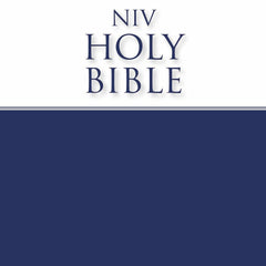 Holy Bible: New International Version Economy by Zondervan Publishing House