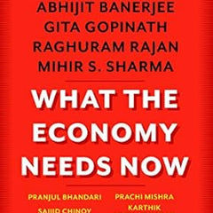 What the Economy Needs Now Paperback