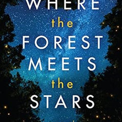 Where the Forest Meets the Stars by Glendy Vanderah