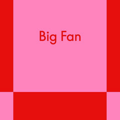 Big Fan: A Modern Romance by Alexandra Romanoff