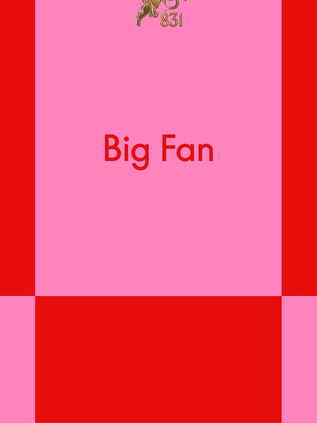 Big Fan: A Modern Romance by Alexandra Romanoff
