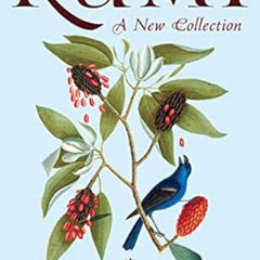 Rumi by Farrukh Dhondy