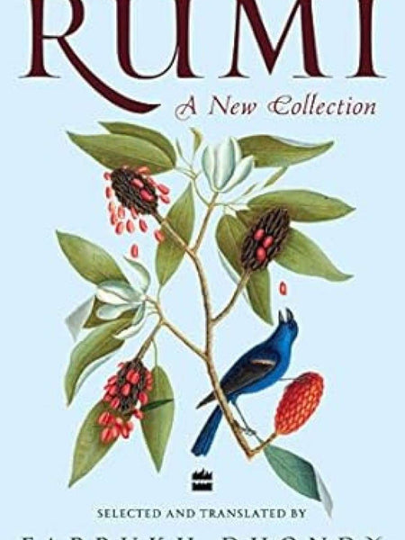 Rumi by Farrukh Dhondy
