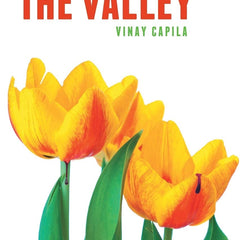Echoes from the Valley by Vinay Capila