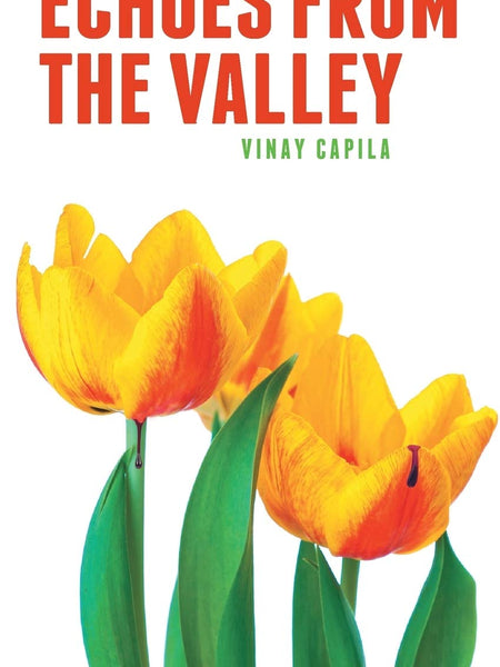 Echoes from the Valley by Vinay Capila