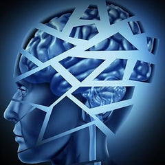 Brain Damage by Freida McFadden | Psychological Thriller & Suspense | A Gripping Mystery of Memory, Murder & Survival