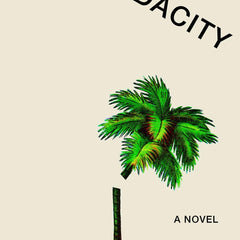 The Audacity by Ryan Chapman