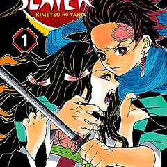 Demon Slayer: Kimetsu No Yaiba, Vol. 1: Cruelty