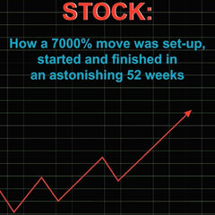 THE PERFECT STOCK  by Brad Koteshwar