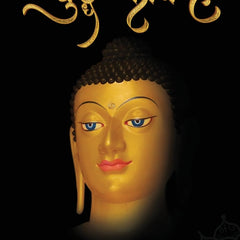 Buddha Kaun Hai बुद्ध कौन है Hindi Edition by Gyanananda Thera