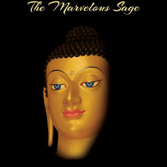 Buddha: The Marvelous Sage  by Kiribathgoda Gnanananda Thera (Author)
