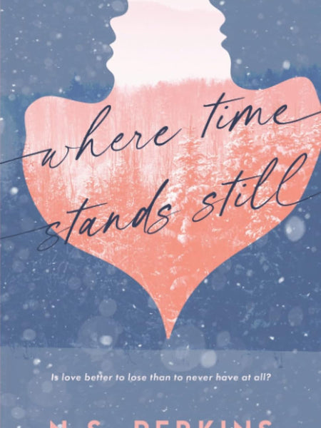 Where Time Stands Still by N S Perkins