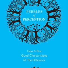 Pebbles of Perception: How a Few Good Choices Make All The Difference by Laurence Endersen