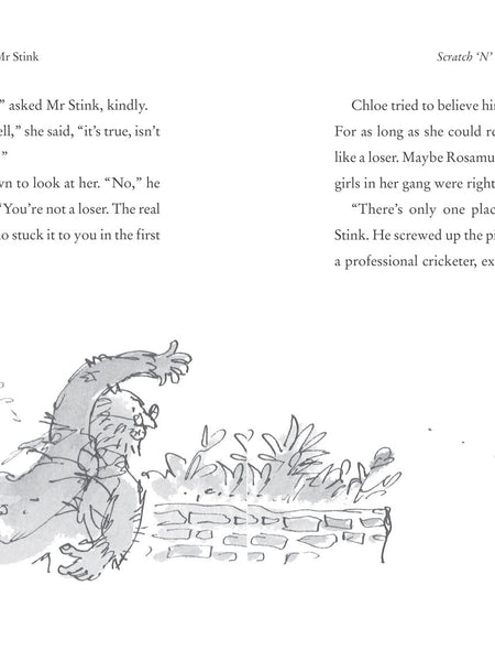 Mr Stink Book by David Walliams