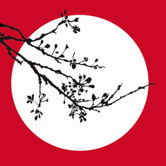 Blind Willow, Sleeping Woman [Paperback] Murakami, Haruki by Haruki Murakami