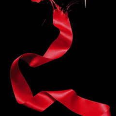 Eclipse by Stephenie Meyer | The Twilight Saga Book 3 | Vampire Romance, Werewolf Fantasy & Supernatural Thriller