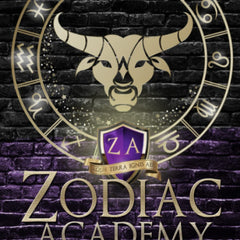 Zodiac Academy 4: Shadow Princess by Caroline Peckham and Susanne Valenti