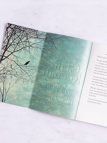 Foster: by the Booker-shortlisted author of Small Things Like These by Claire Keegan