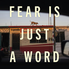 Fear is Just a Word by Azam Ahmed