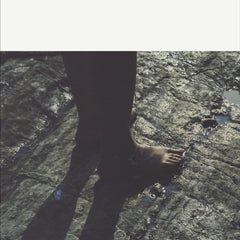 The Fall  by Albert Camus (Author)
