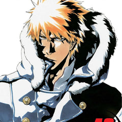 Bleach 49 : The Lost Agent: Volume 49 By Tite Kubo