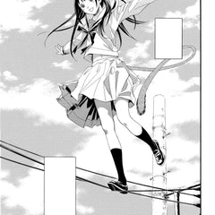 Noragami: Stray God 1 by Adachitoka