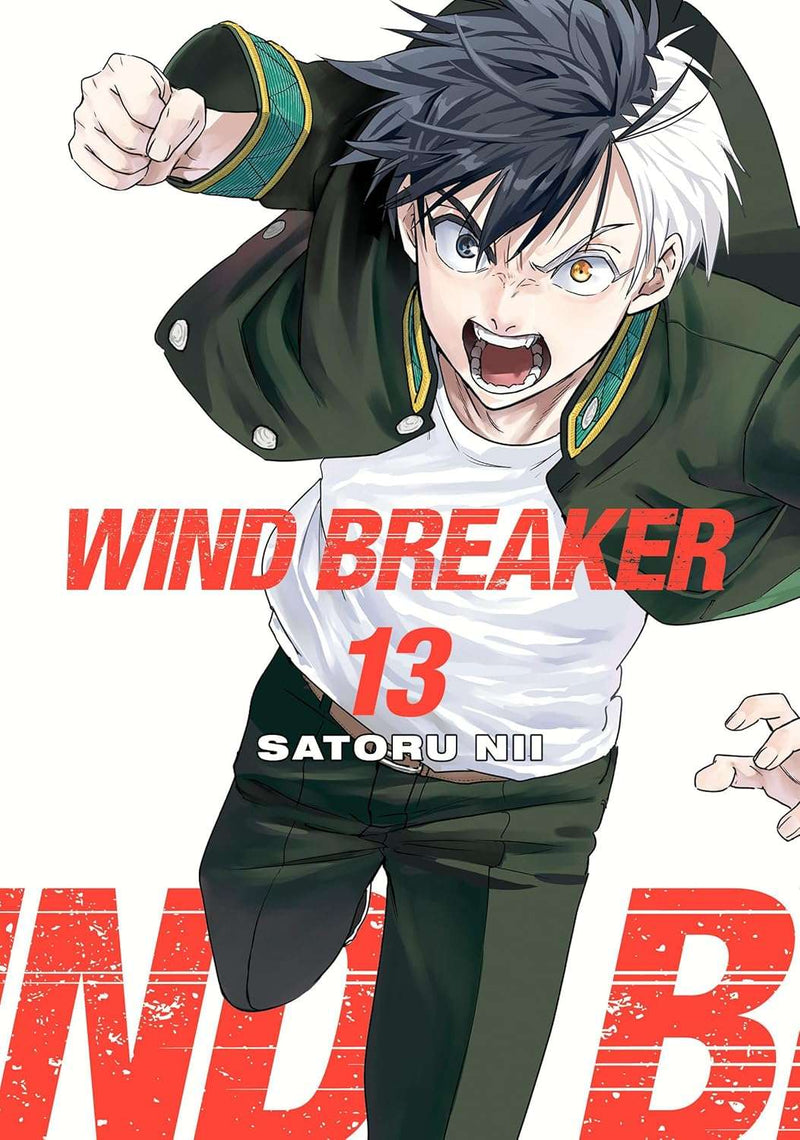 Wind Breaker 13 by Satoru Nii