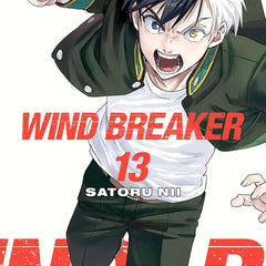 Wind Breaker 13 by Satoru Nii
