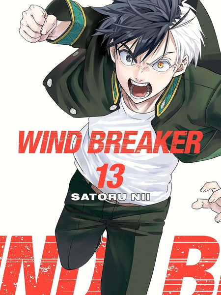 Wind Breaker 13 by Satoru Nii