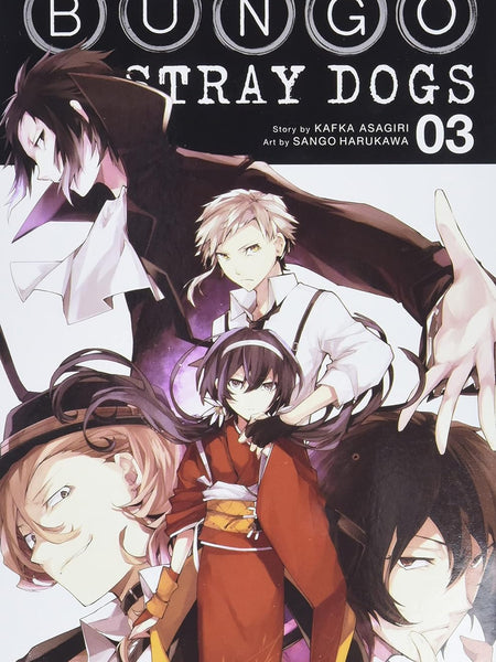 Bungo Stray Dogs, Vol. 3 by Kafka Asagiri