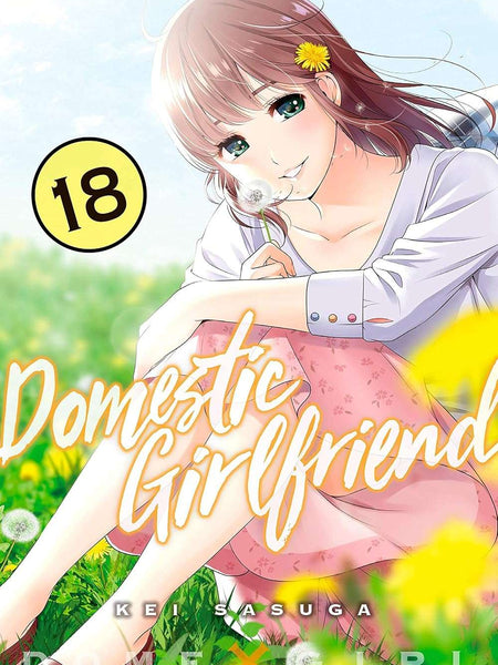 Domestic Girlfriend Vol. 18 by Kei Sasuga