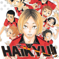 Haikyu, Vol. 04: Rivals!: Volume 4 by Haruichi Furudate