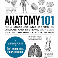 Anatomy 101 by Kevin Langford