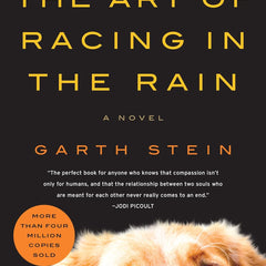The Art of Racing in the Rain by Garth Stein
