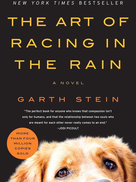 The Art of Racing in the Rain by Garth Stein