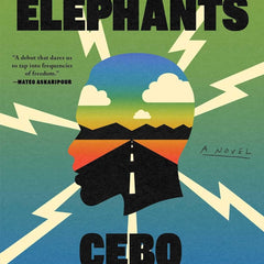 Sky Full of Elephants by Cebo Campbell