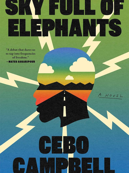 Sky Full of Elephants by Cebo Campbell