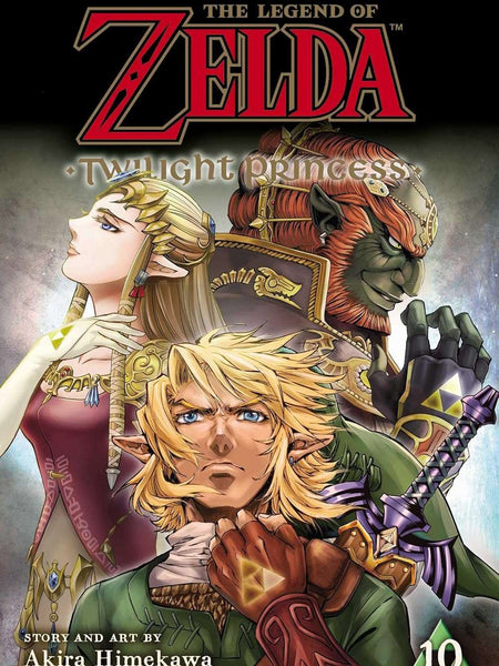 The Legend of Zelda: Twilight Princess, Vol. 10: Volume 10 by Akira Himekawa