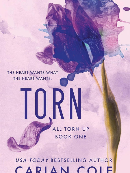 Torn (All Torn Up Book 1) by Carian Cole