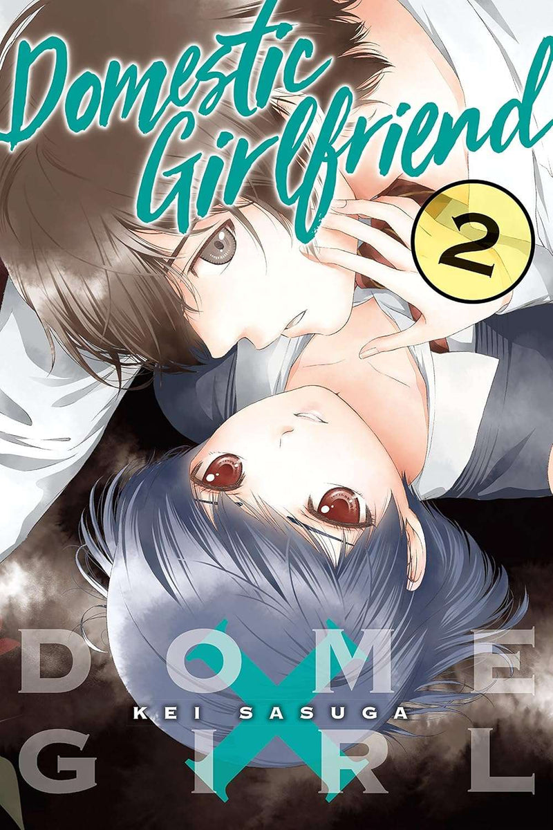 Domestic Girlfriend Vol. 2 by Kei Sasuga  , Kei Sasuga