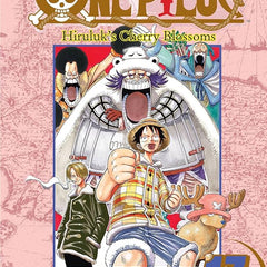 One Piece, Vol. 17 by Eiichiro Oda