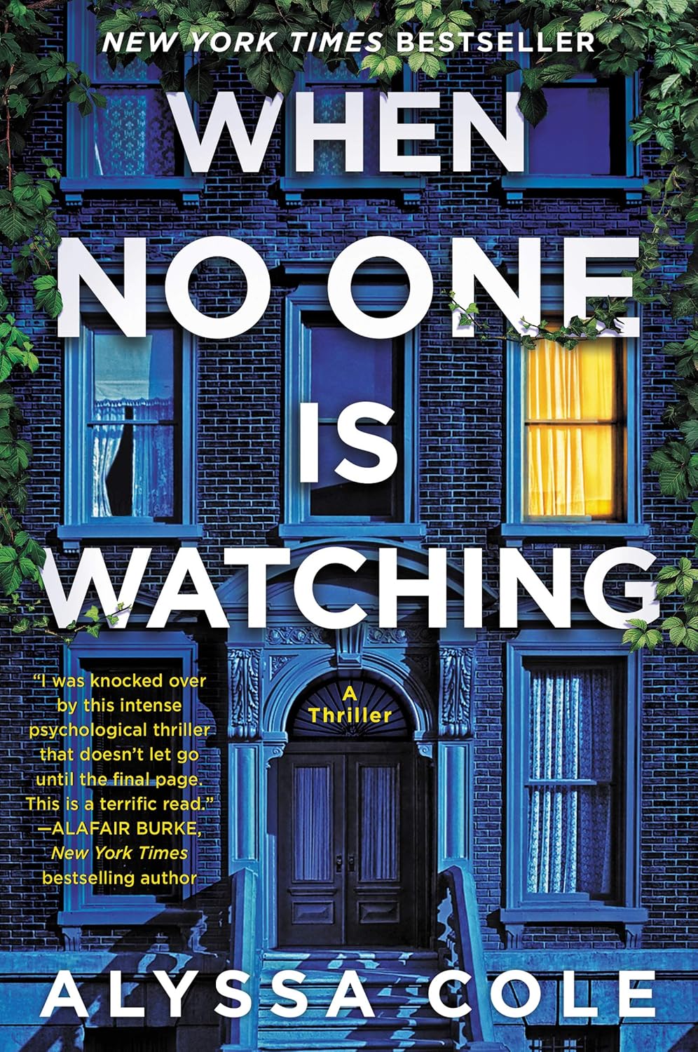 When No One Is Watching: A Thriller by Alyssa Cole – Bindass Books