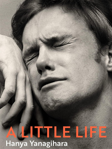 A little life  by Hanya yanagihara