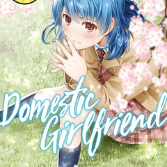 Domestic Girlfriend Vol. 13 by Kei Sasuga