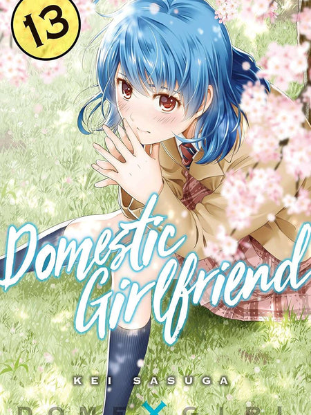Domestic Girlfriend Vol. 13 by Kei Sasuga