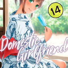 Domestic Girlfriend Vol. 14 by Kei Sasuga