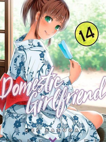 Domestic Girlfriend Vol. 14 by Kei Sasuga