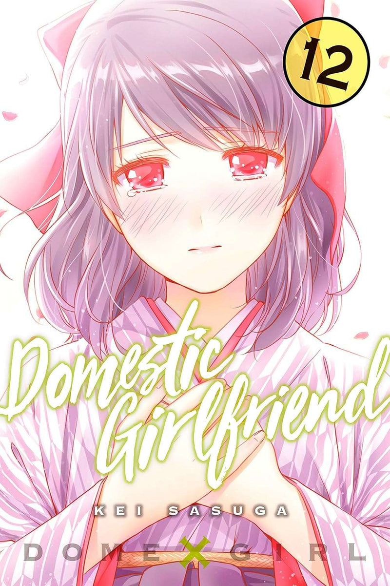 Domestic Girlfriend Vol. 12 by Kei Sasuga