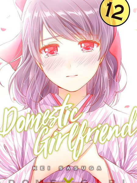 Domestic Girlfriend Vol. 12 by Kei Sasuga